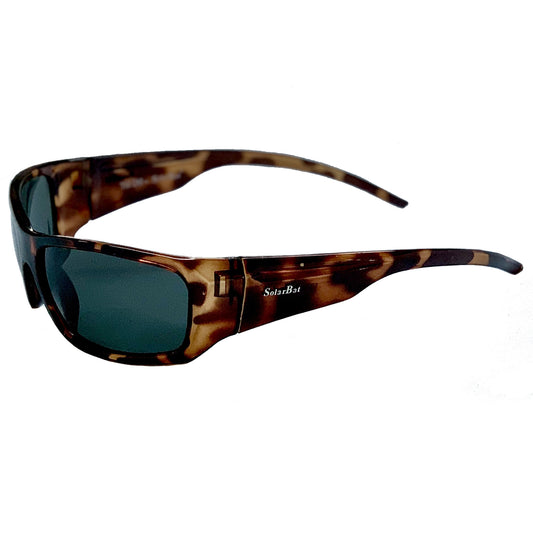 SB 06 Polarized Sunglasses